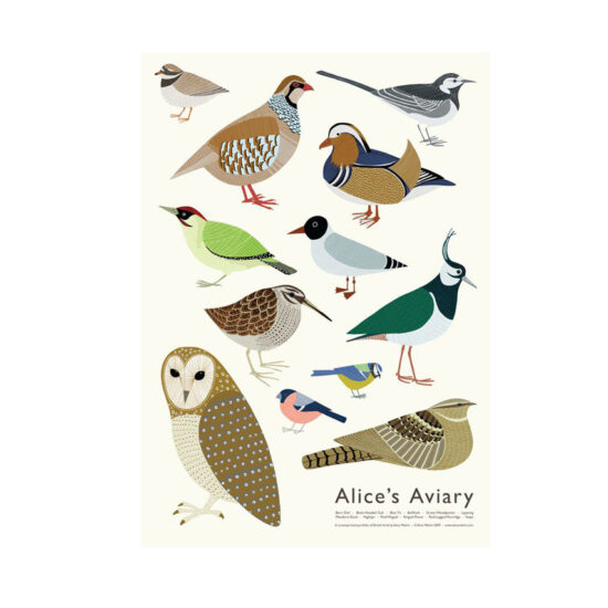 Plakat Vögel von Alice Melvin