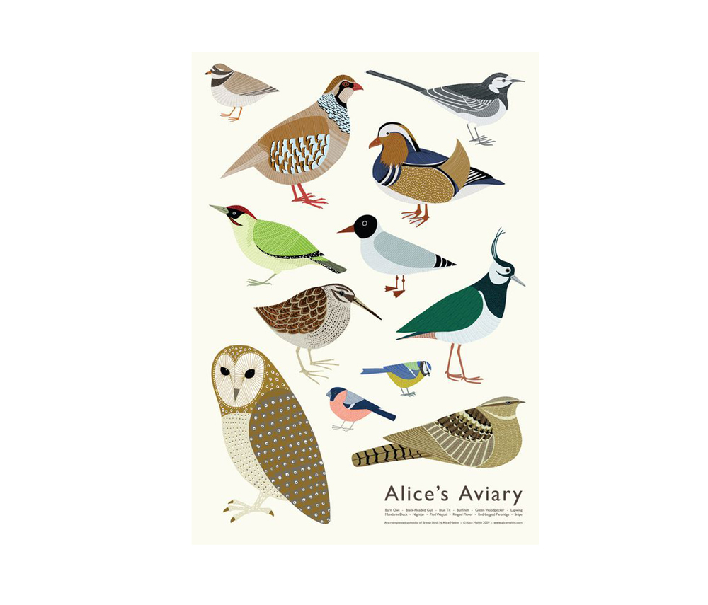 Plakat Vögel von Alice Melvin